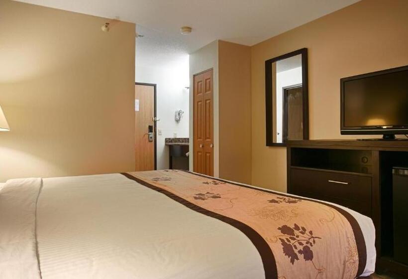 غرفة قياسية سرير كينج, Best Western Alexandria Inn