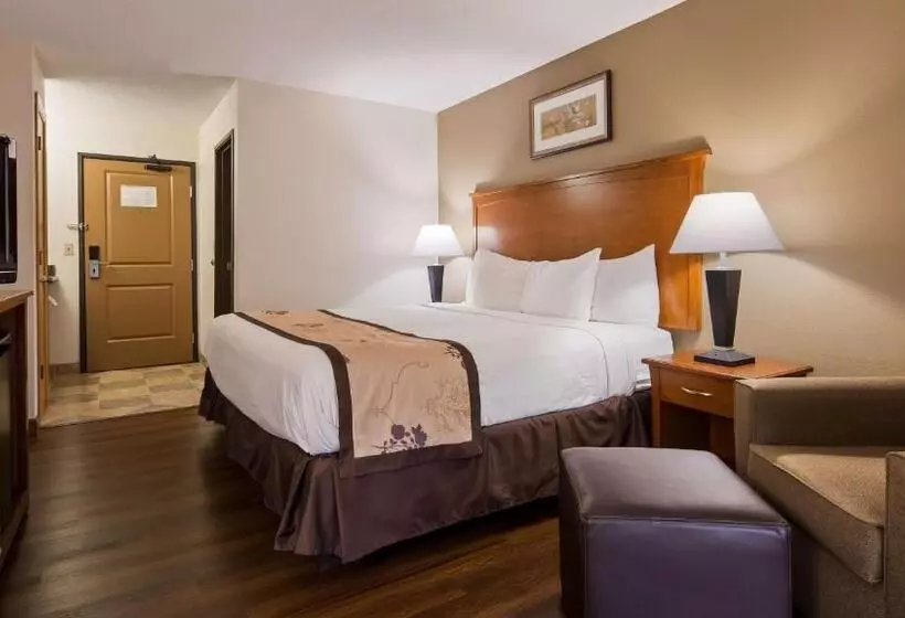 キングサイズベッドのスタンダードルーム, Best Western Alexandria Inn