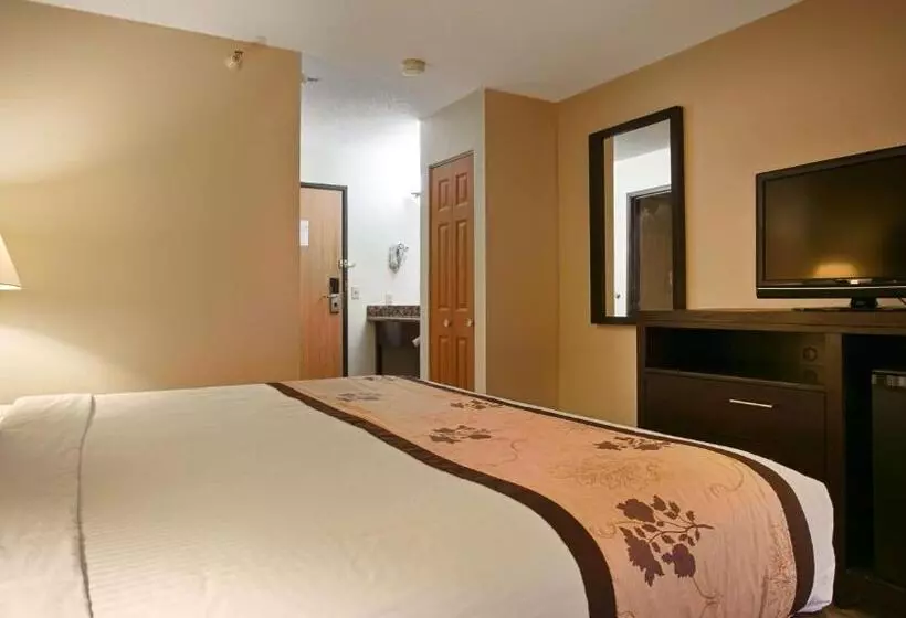 キングサイズベッドのスタンダードルーム, Best Western Alexandria Inn