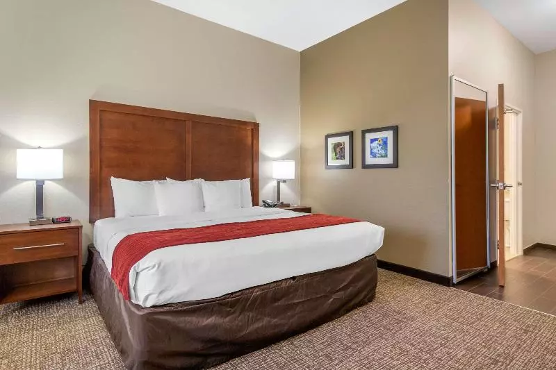 キングサイズベッドのスタンダードルーム, Comfort Inn & Suites Glenpool