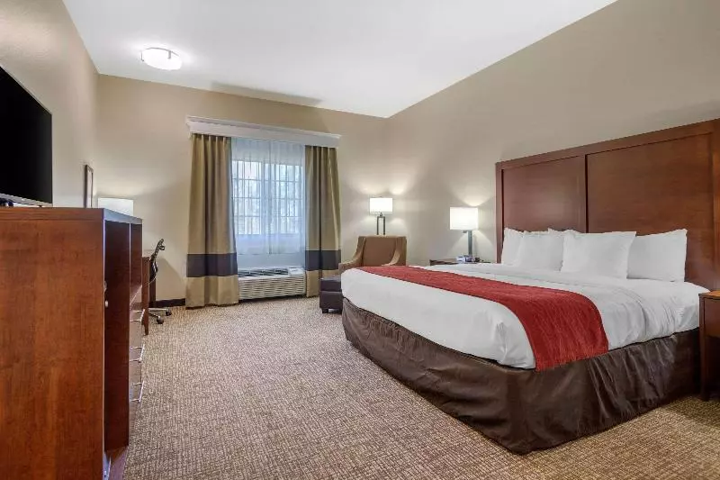 キングサイズベッドのスタンダードルーム, Comfort Inn & Suites Glenpool