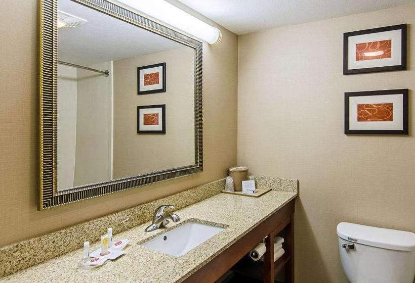 جناح سرير كينج, Comfort Suites Wytheville