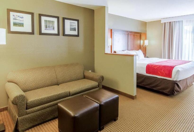 جناح سرير كينج, Comfort Suites Wytheville