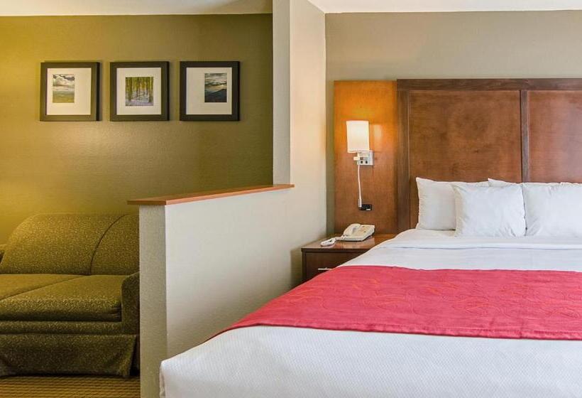 جناح سرير كينج, Comfort Suites Wytheville