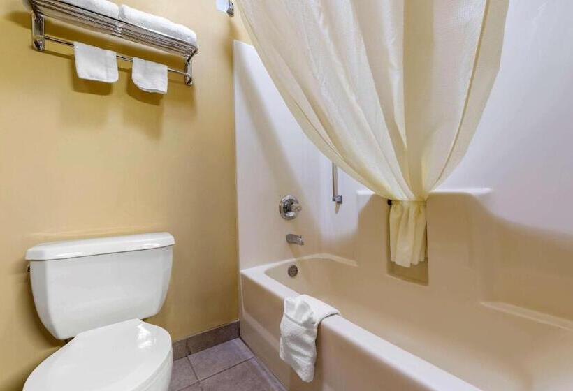 غرفة قياسية سرير كينج, Econo Lodge Louisville Airport