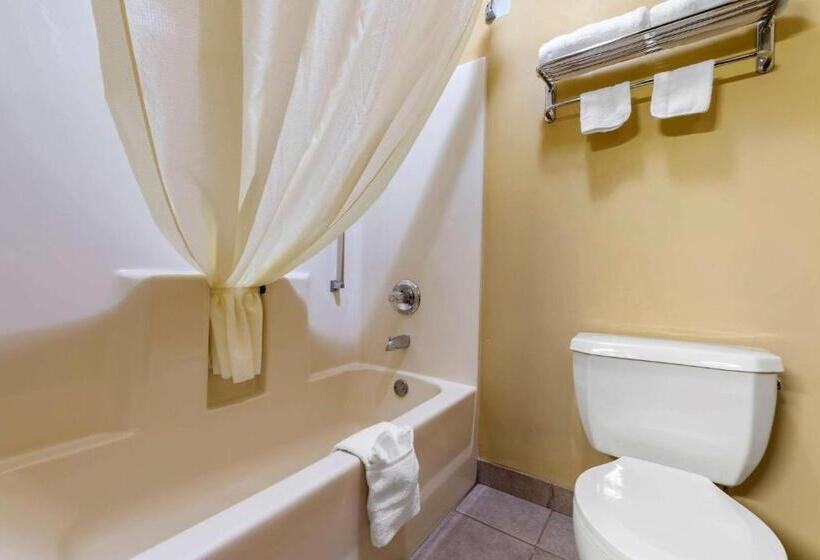 غرفة قياسية سرير كينج, Econo Lodge Louisville Airport