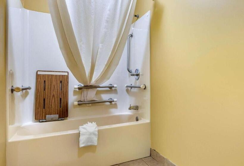 غرفة قياسية لذوى الاحتياجات الخاصة, Econo Lodge Louisville Airport