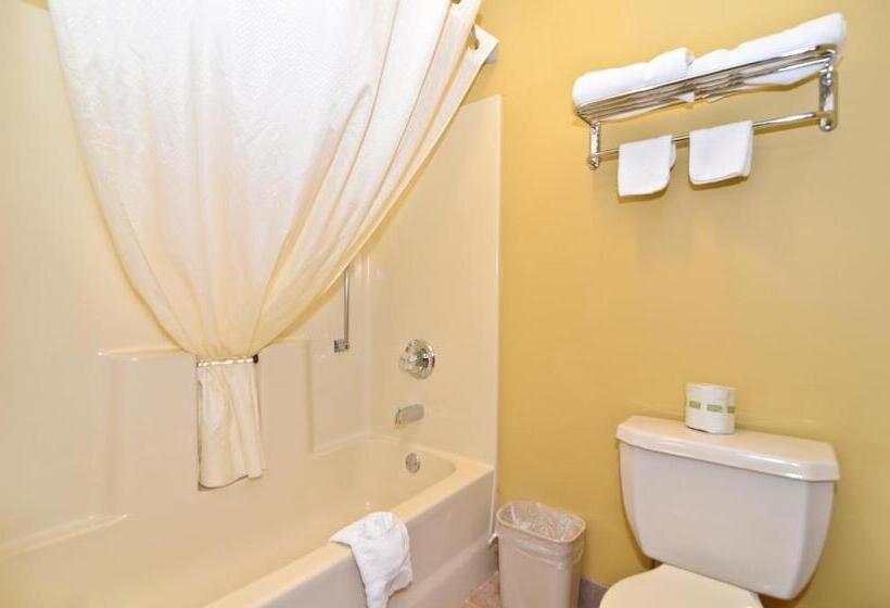 غرفة قياسية سرير كينج, Econo Lodge Louisville Airport