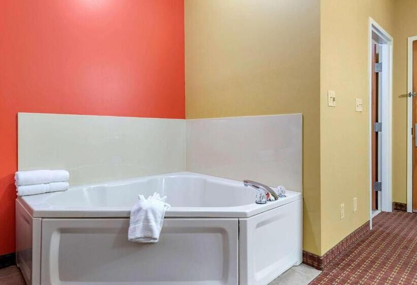 غرفة قياسية سرير كينج, Econo Lodge Louisville Airport