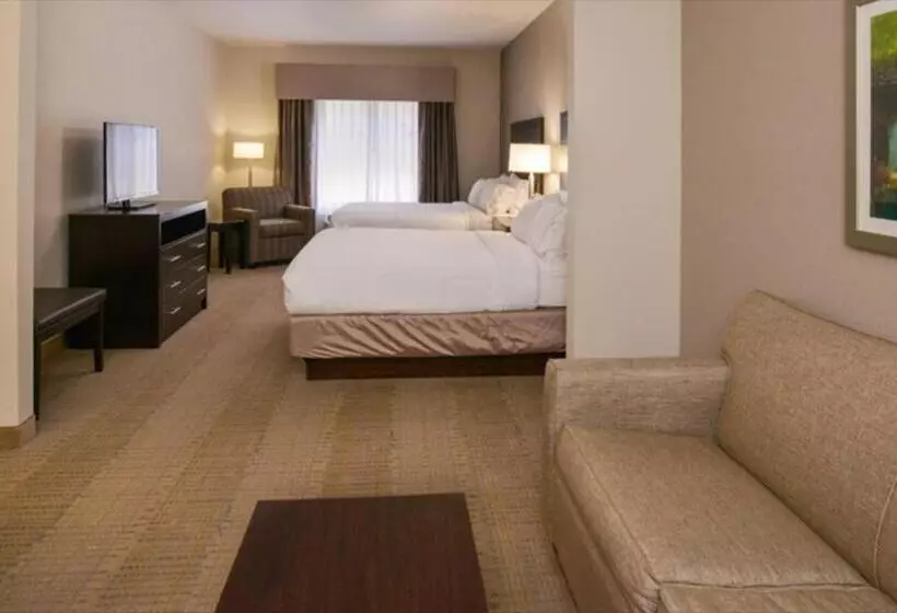 スイート, Holiday Inn Express And Suites Sikeston, An Ihg