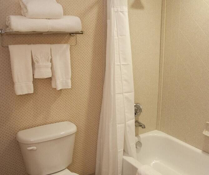 חדר סטנדרט, Holiday Inn Express Baltimoredowntown