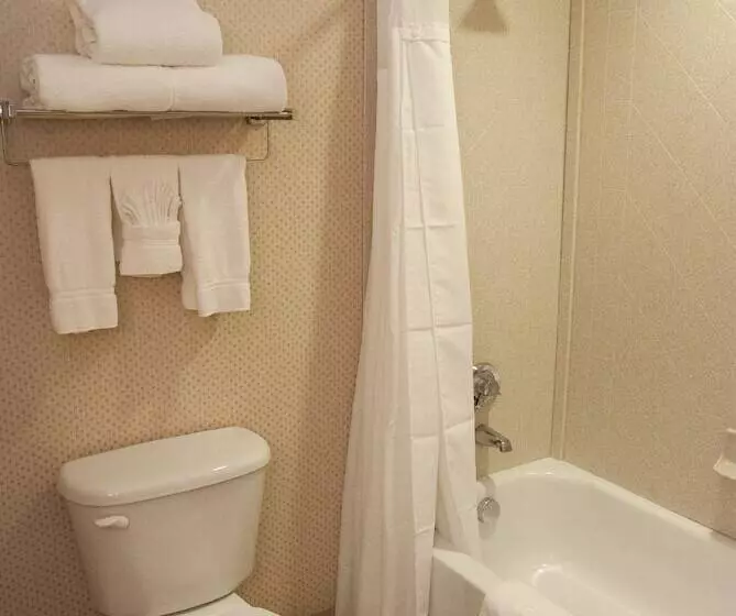スタンダードルーム, Holiday Inn Express Baltimoredowntown