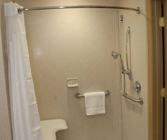 חדר סטנדרט, Holiday Inn Express Baltimoredowntown