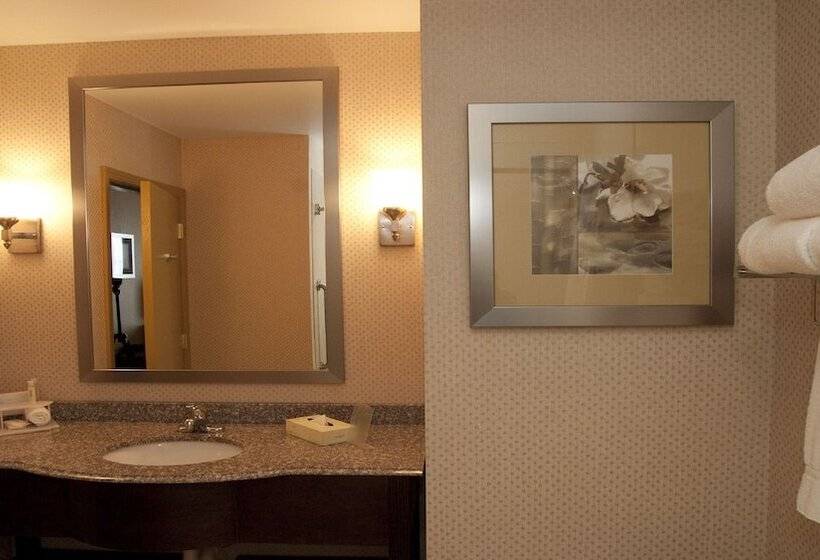 סוויטה, Holiday Inn Express Baltimoredowntown