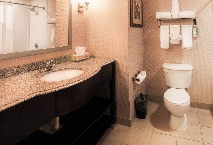 סוויטה, Holiday Inn Express Baltimoredowntown