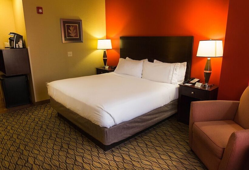 סוויטה, Holiday Inn Express Baltimoredowntown