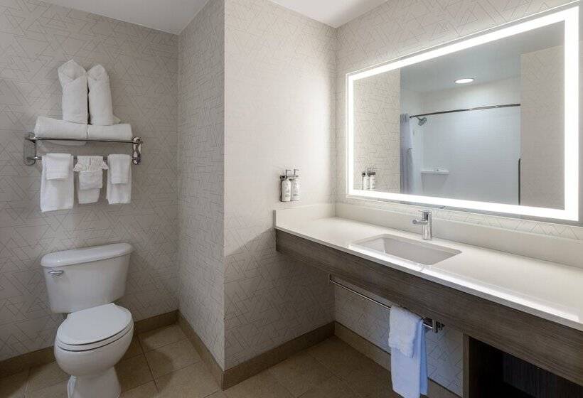 סוויטה מותאמת לאדם עם מוגבלויות, Holiday Inn Express Baltimoredowntown