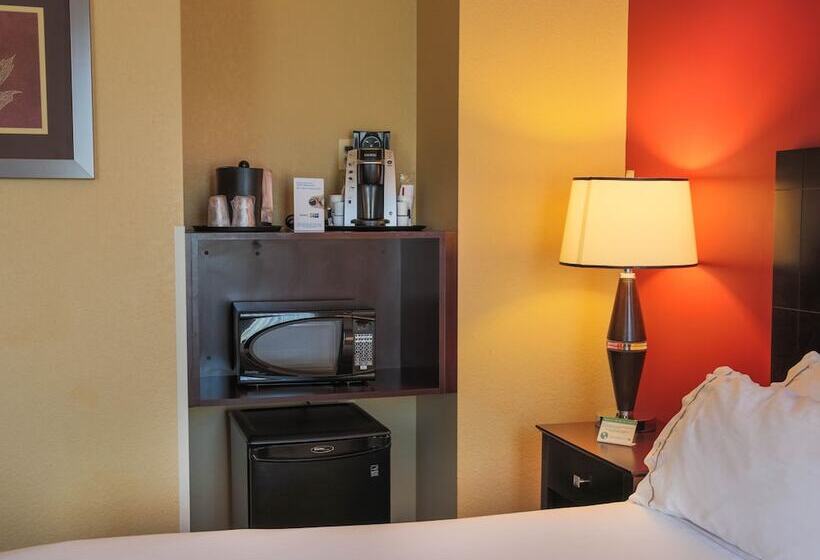 סוויטה מותאמת לאדם עם מוגבלויות, Holiday Inn Express Baltimoredowntown