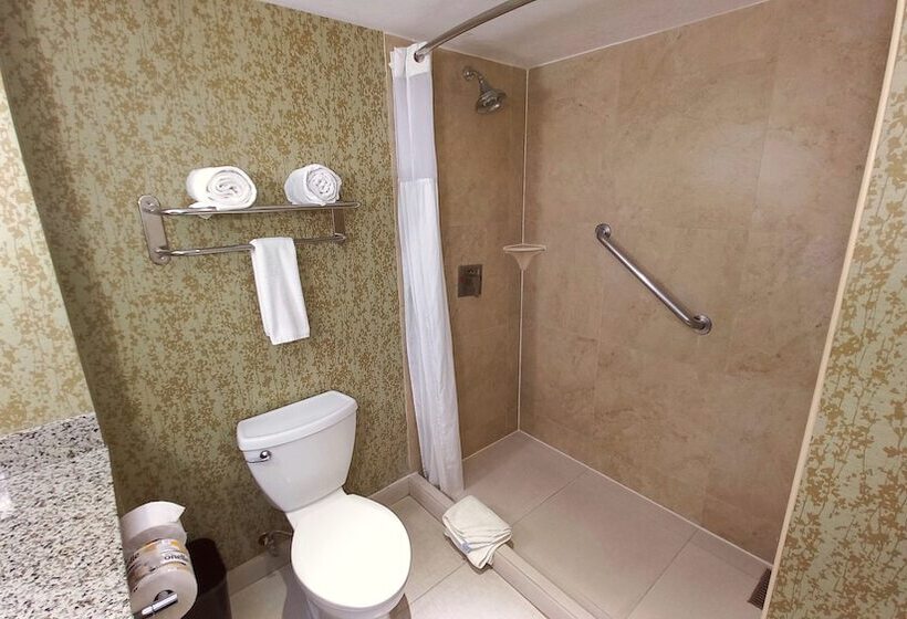 חדר סטנדרט, Holiday Inn Express & Suites Cuernavaca, An Ihg