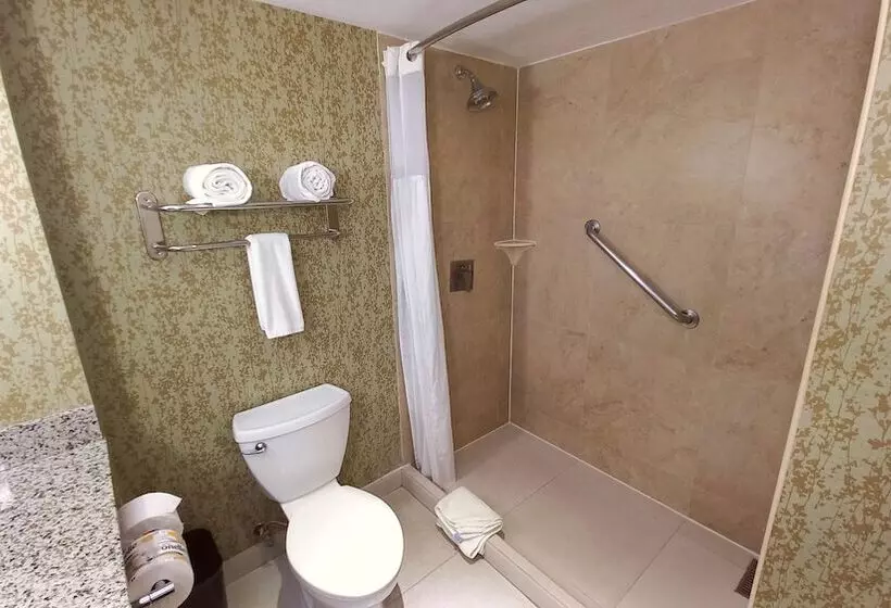 اتاق استاندارد, Holiday Inn Express & Suites Cuernavaca, An Ihg