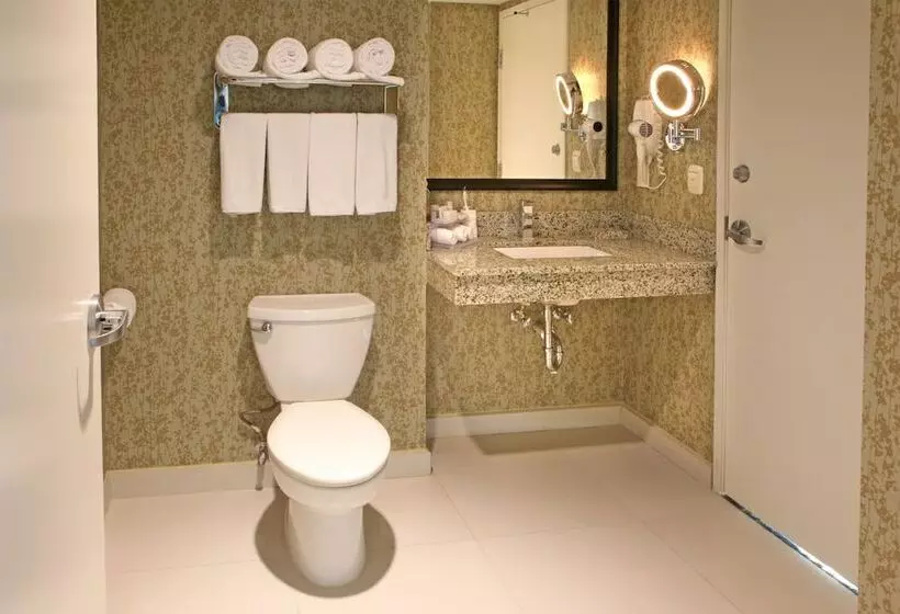 اتاق استاندارد, Holiday Inn Express & Suites Cuernavaca, An Ihg