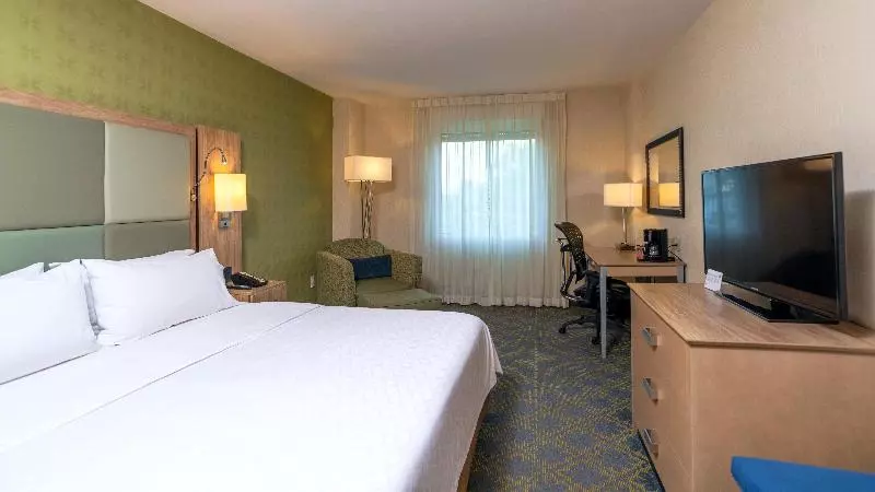 اتاق استاندارد با تخت بزرگ, Holiday Inn Express & Suites Cuernavaca, An Ihg