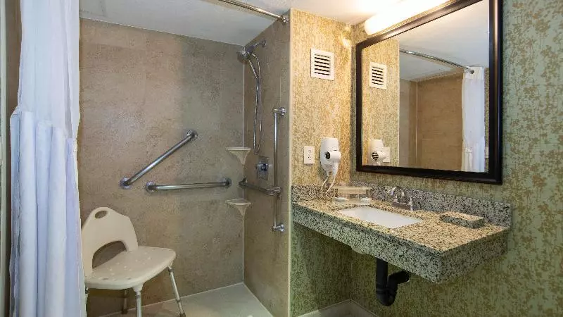 اتاق استاندارد با تخت بزرگ, Holiday Inn Express & Suites Cuernavaca, An Ihg