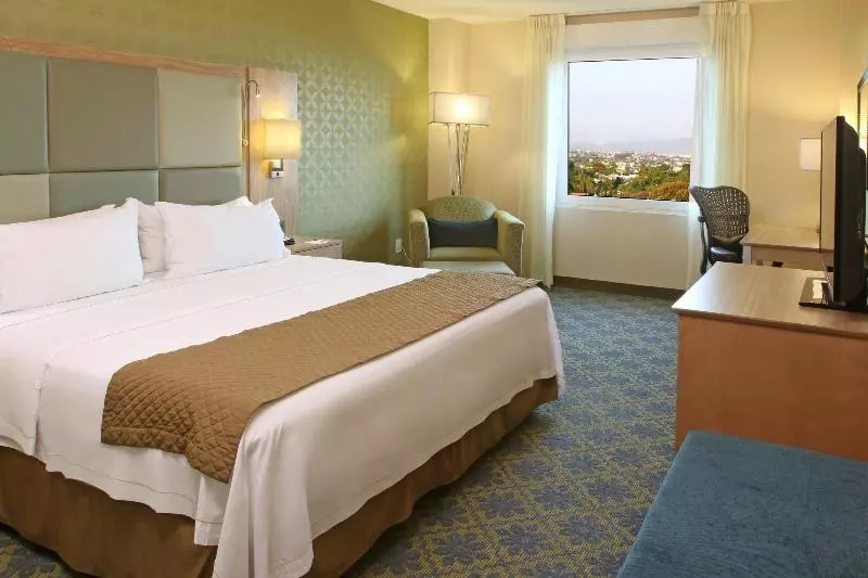 اتاق استاندارد با تخت بزرگ, Holiday Inn Express & Suites Cuernavaca, An Ihg