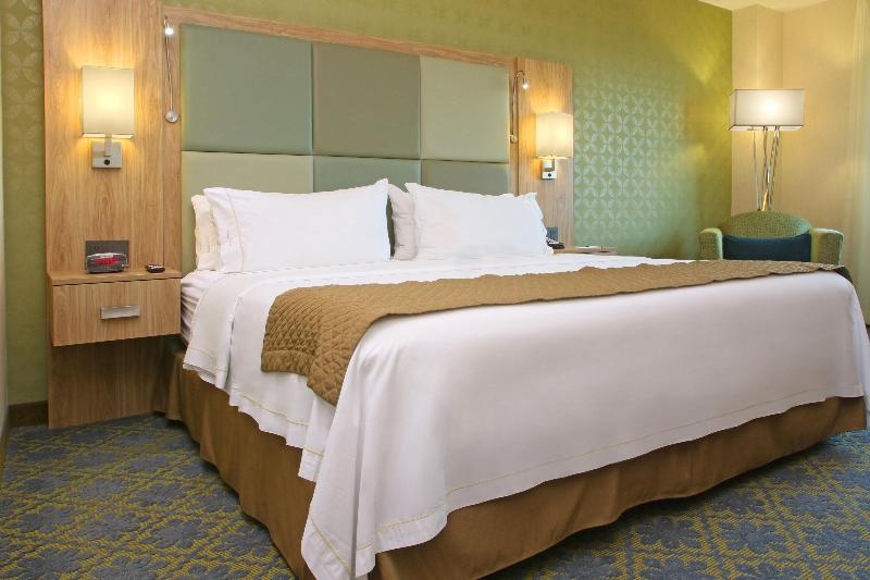חדר סטנדרט עם מיטת קינג, Holiday Inn Express & Suites Cuernavaca, An Ihg
