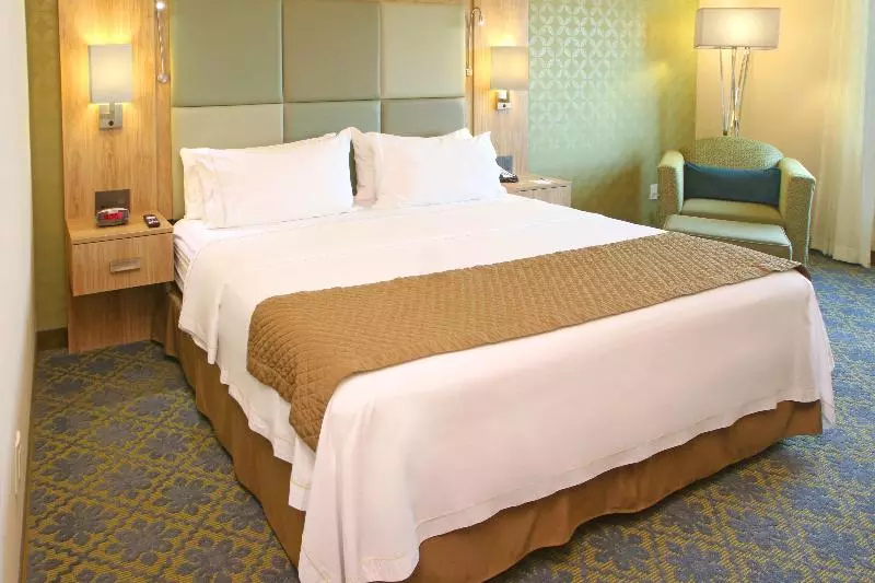 اتاق استاندارد با تخت بزرگ برای معلولان, Holiday Inn Express & Suites Cuernavaca, An Ihg