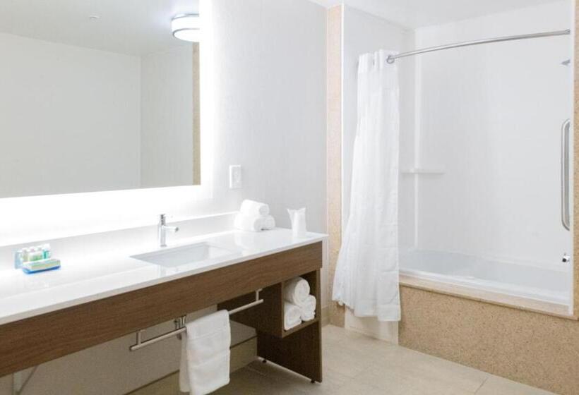 バルコニー付スイート, Holiday Inn Express & Suites Lexington North West The Vineyard, An Ihg