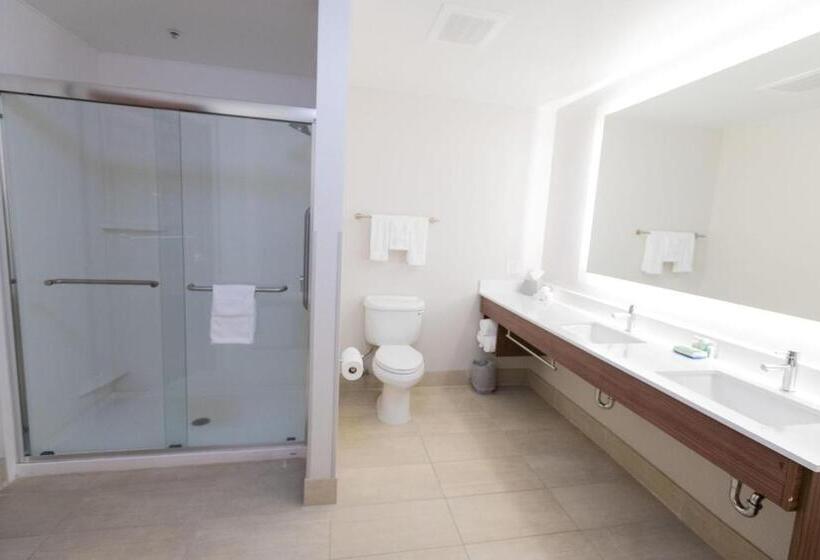 キングサイズベッドのスイートルーム, Holiday Inn Express & Suites Lexington North West The Vineyard, An Ihg