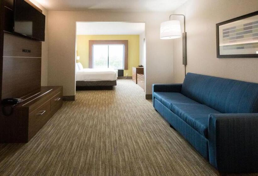 身障者適用スイートルーム, Holiday Inn Express & Suites Lexington North West The Vineyard, An Ihg