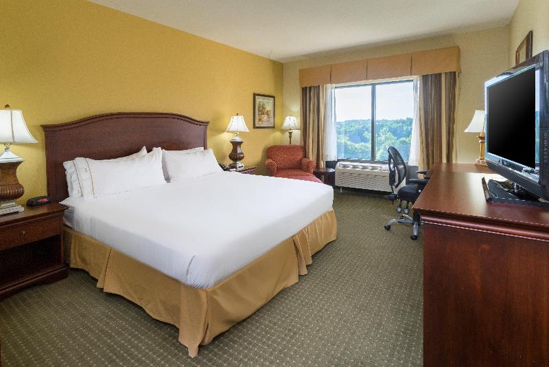 キングサイズベッドのスタンダードルーム, Holiday Inn Express & Suites Lexington North West The Vineyard, An Ihg