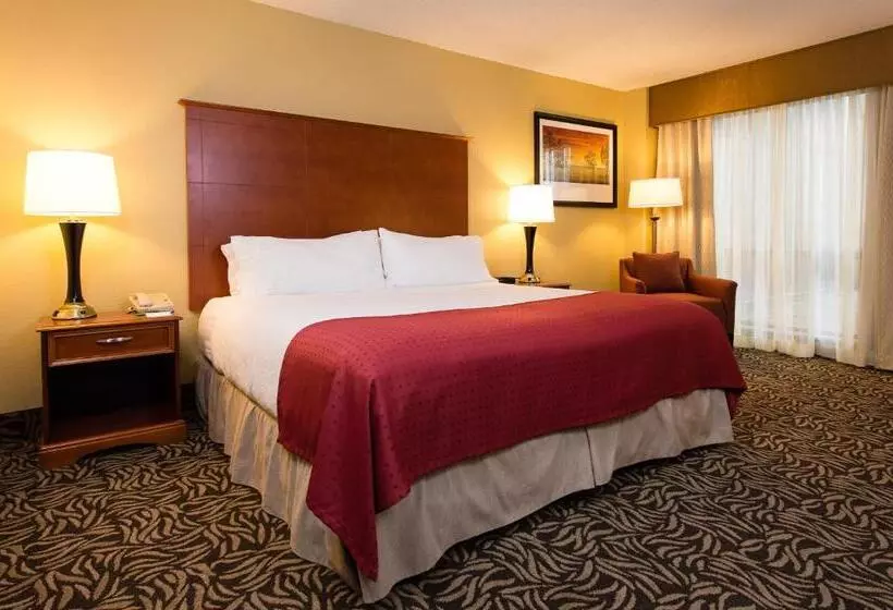 身障者適用キングサイズベッドルーム, Doubletree By Hilton Wilmington, Nc