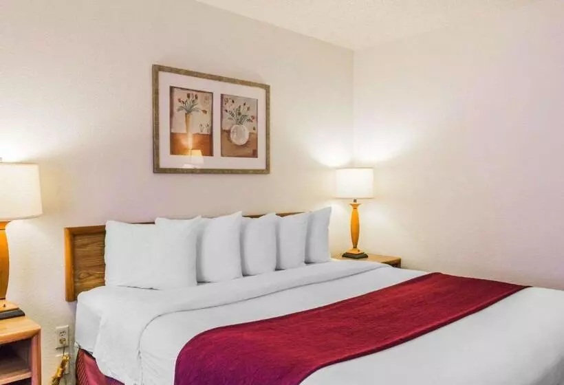 キングサイズベッドのスタンダードルーム, Quality Inn & Suites Golden  Denver West