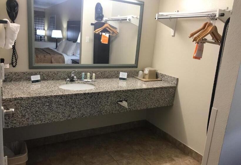 חדר סטנדרט עם מיטת קינג, Quality Inn & Suites Near Downtown Mesa