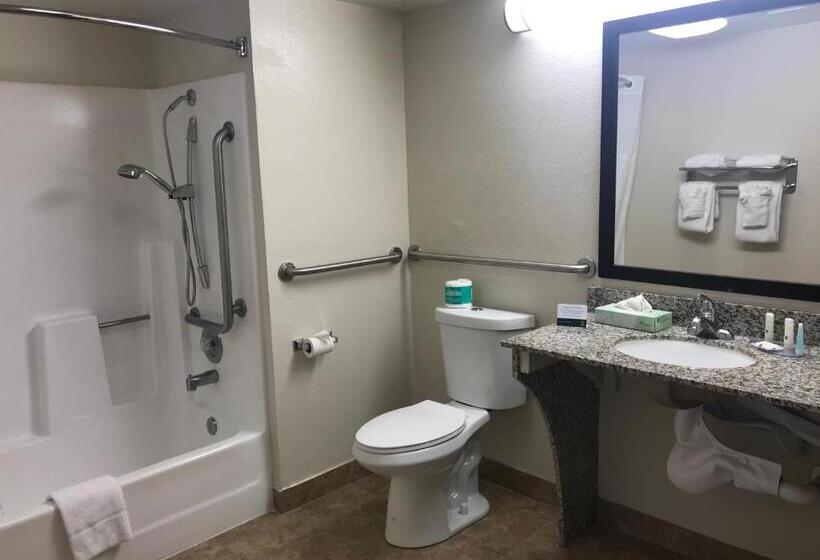 חדר סטנדרט מותאם לאדם עם מוגבלויות, Quality Inn & Suites Near Downtown Mesa