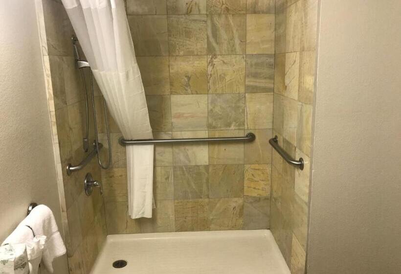 חדר סטנדרט, מיטת קינג, מותאם לאדם עם מוגבלויות, Quality Inn & Suites Near Downtown Mesa