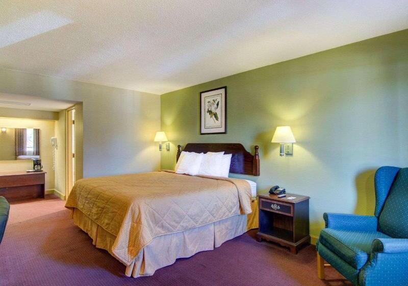 غرفة قياسية سرير كينج, Rodeway Inn Hot Springs National Park Area