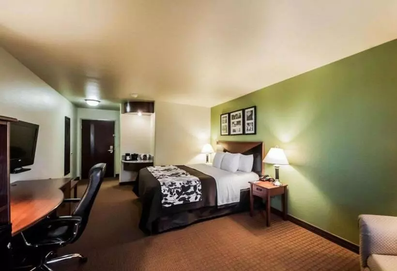 キングサイズベッドのスタンダードルーム, Sleep Inn & Suites