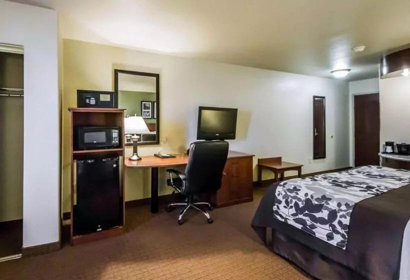 キングサイズベッドのスタンダードルーム, Sleep Inn & Suites