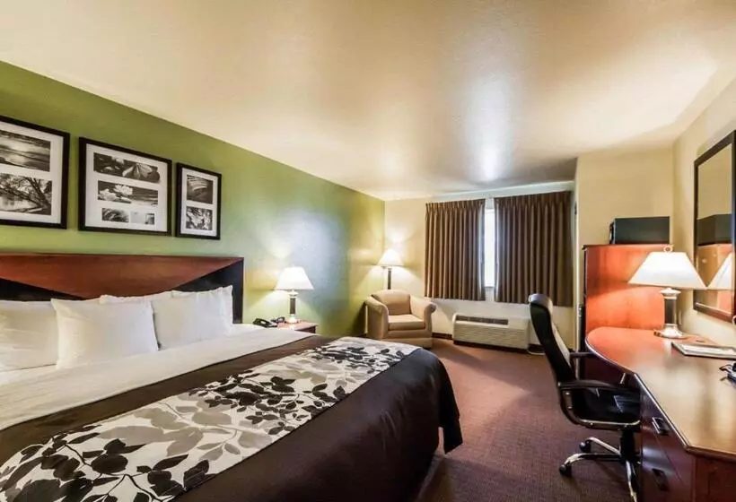 キングサイズベッドのスタンダードルーム, Sleep Inn & Suites