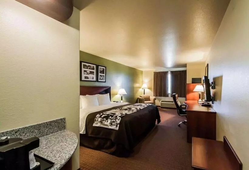 キングサイズベッドのスタンダードルーム, Sleep Inn & Suites