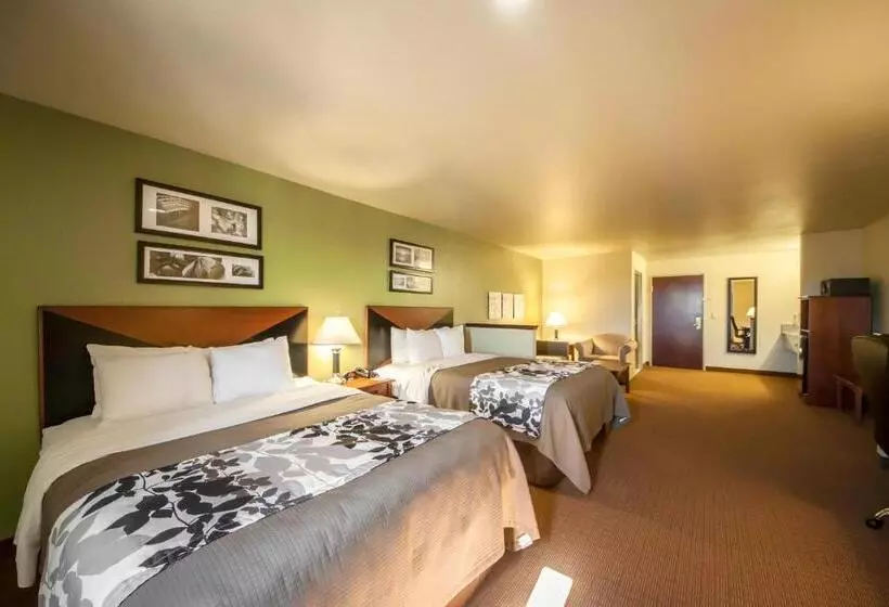 スタンダードルーム, Sleep Inn & Suites