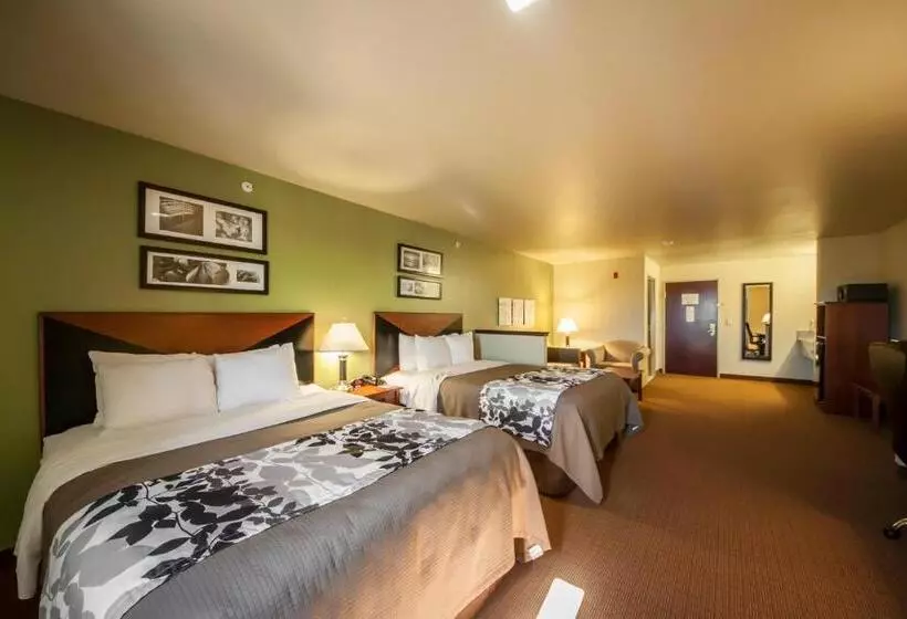 スイート, Sleep Inn & Suites