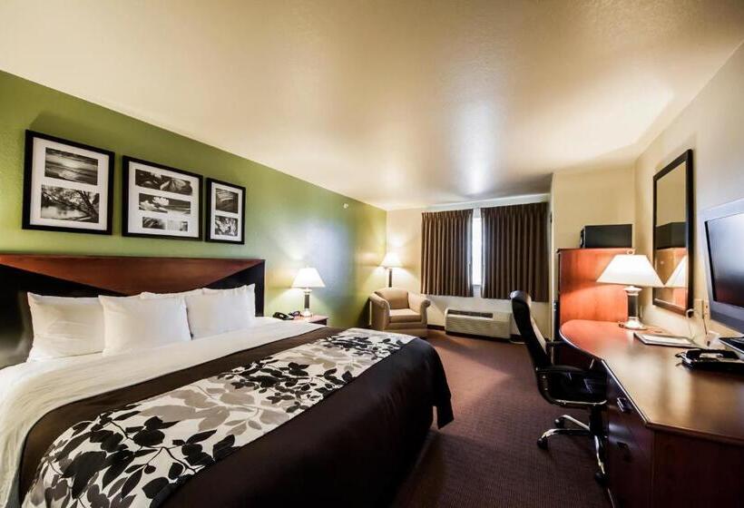 带大床的套房, Sleep Inn & Suites
