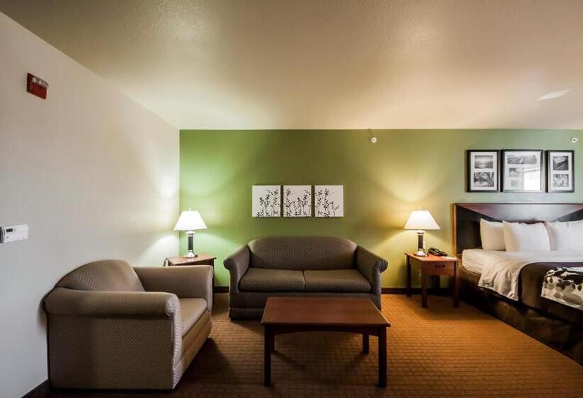 带大床的套房, Sleep Inn & Suites