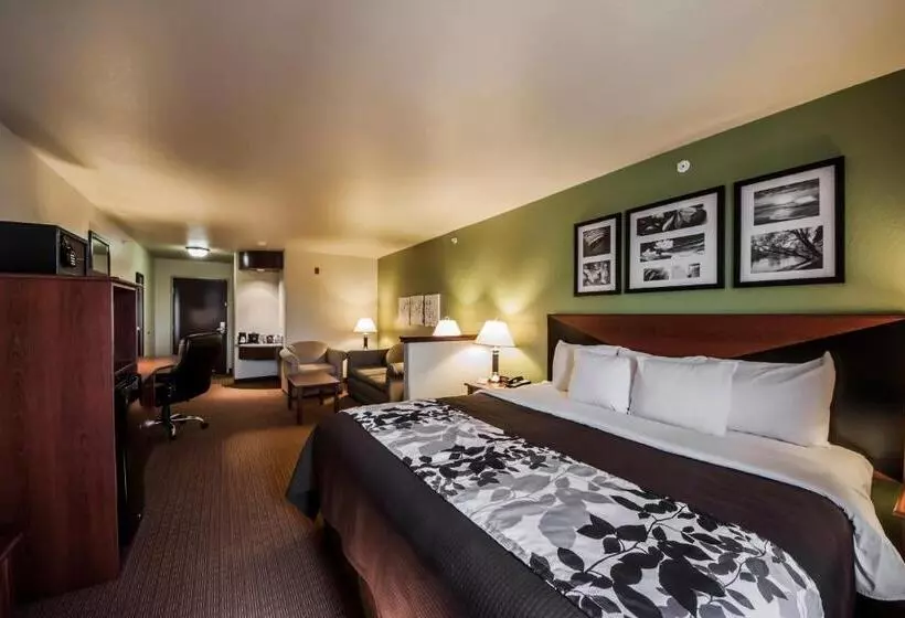 キングサイズベッドのスイートルーム, Sleep Inn & Suites