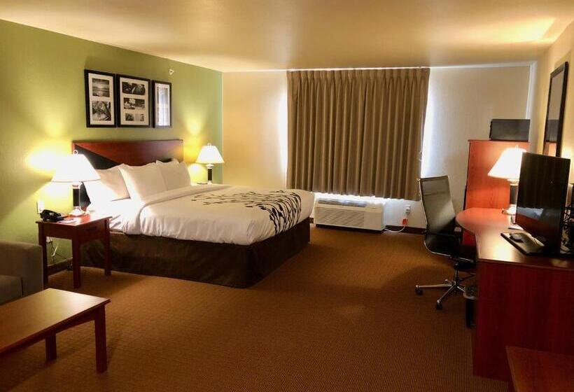带大床的套房, Sleep Inn & Suites